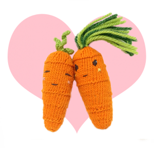Cool Carrot with Sweet Carrot, cute knitting patterns