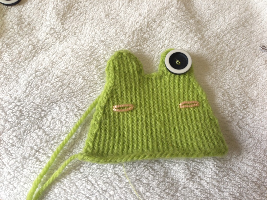 Frog with one eye sewn on