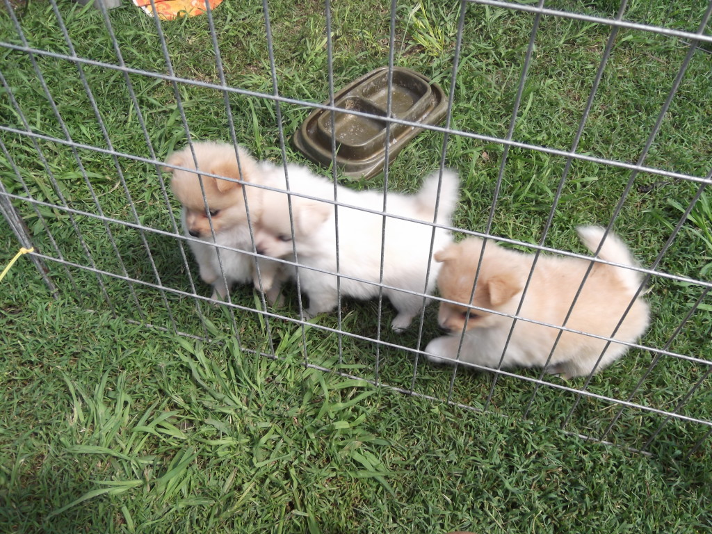 Murim with his sisters