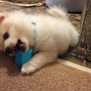 Murim playing with toys